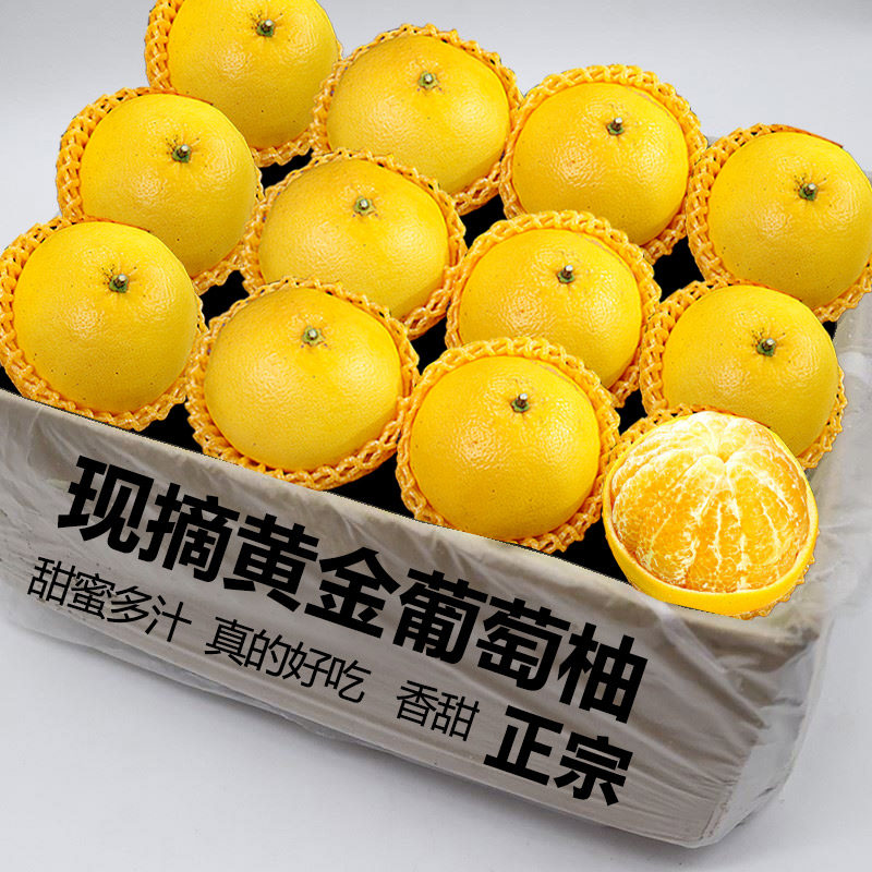 正宗黄金葡萄柚爆汁福建柚子新鲜水果当季黄心蜜柚文甜西柚整箱旦