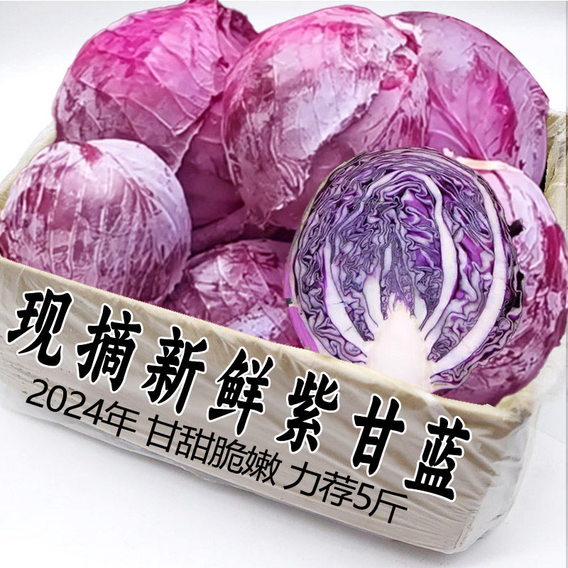 新鲜紫甘蓝沙拉菜紫色卷心菜榨汁食用蔬菜紫包菜3斤包邮产地直发5