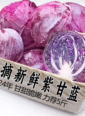 新鲜紫甘蓝沙拉菜紫色卷心菜榨汁食用蔬菜紫包菜3斤包邮产地直发5