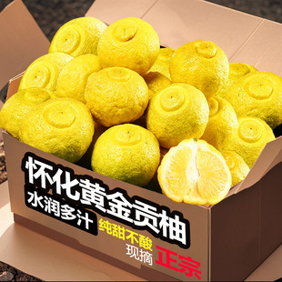 正宗湖南怀化洪江黄金贡柚新鲜水果春香桔柚新鲜象山青甜柚小柚子