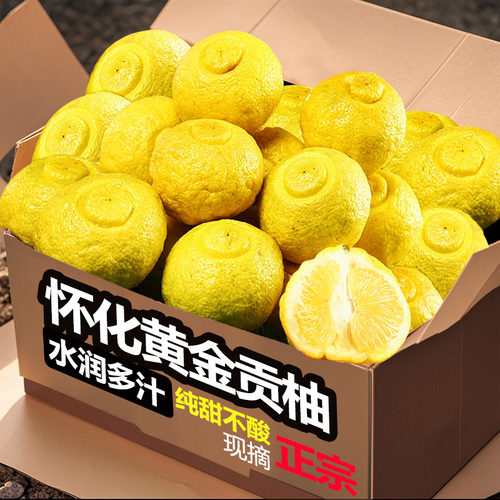 正宗湖南怀化洪江黄金贡柚新鲜水果春香桔柚新鲜象山青甜柚小柚子