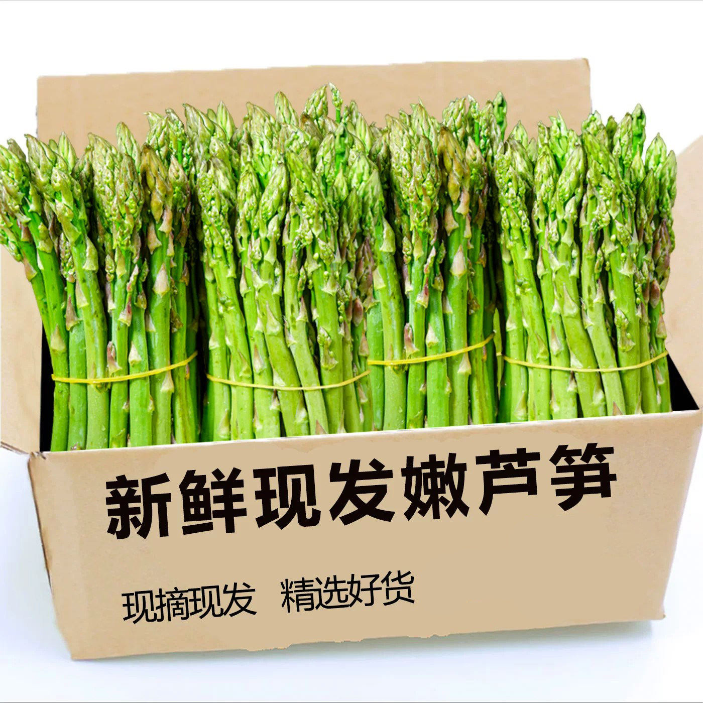 正宗现挖芦笋新鲜脆嫩5斤时令蔬菜根苗青笋尖去春笋产地直发龙须