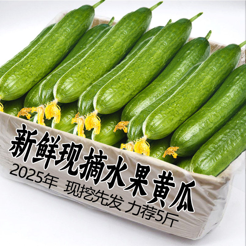 水果黄瓜新鲜包邮5斤山东小瓜荷兰青瓜时令蔬菜生吃脆嫩清甜整箱,水产肉类/新鲜蔬果/熟食,黄瓜,淘宝优惠券,粉丝福利购,淘宝优惠卷