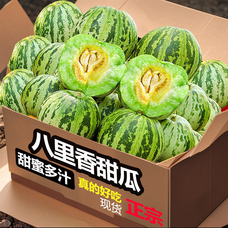 八里香花姑娘香瓜应季时令水果新鲜现摘脆甜蜜瓜花蕾甜瓜孕妇包邮