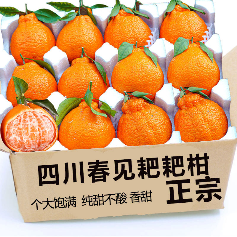 2025四川特级春见耙耙柑粑粑柑橘子甜当新鲜水果丑柑桔9斤包邮,水产肉类/新鲜蔬果/熟食,桔子,淘宝优惠券,粉丝福利购,淘宝优惠卷