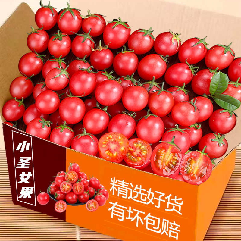 新鲜圣女果小番茄小西红柿孕妇水果脆甜现摘现发包邮当季整箱多汁