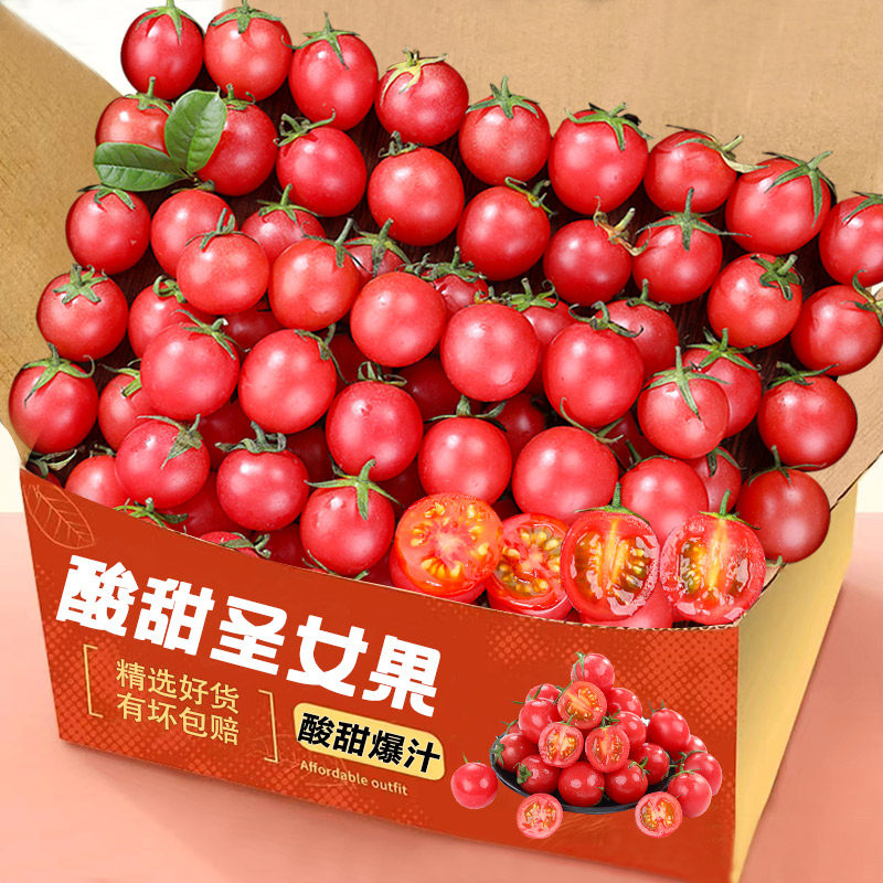 新鲜圣女果小番茄小西红柿孕妇水果酸脆甜现摘现发包邮当季整箱