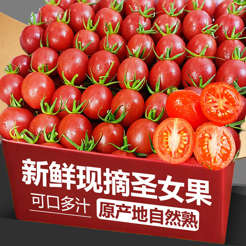 新鲜圣女果小番茄小西红柿孕妇水果酸脆甜现摘现发包邮当季整箱,水产肉类/新鲜蔬果/熟食,番茄,淘宝优惠券,粉丝福利购,淘宝优惠卷