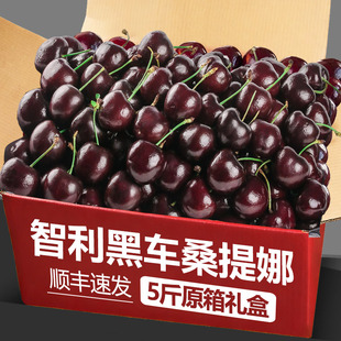 车厘子智利进口顺丰包邮桑提娜5斤原箱礼盒新鲜水果当季整箱樱桃