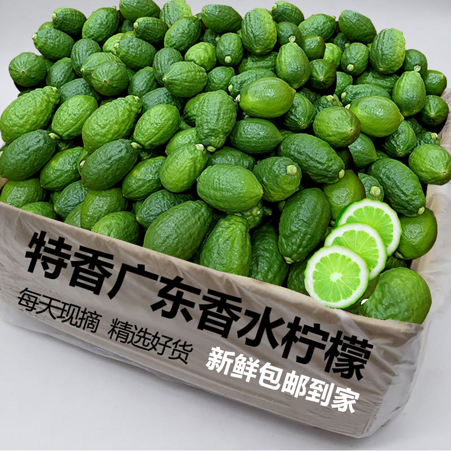 香水柠檬新鲜广东无籽奶茶店专用手打商用青柠一级果本地新鲜现摘