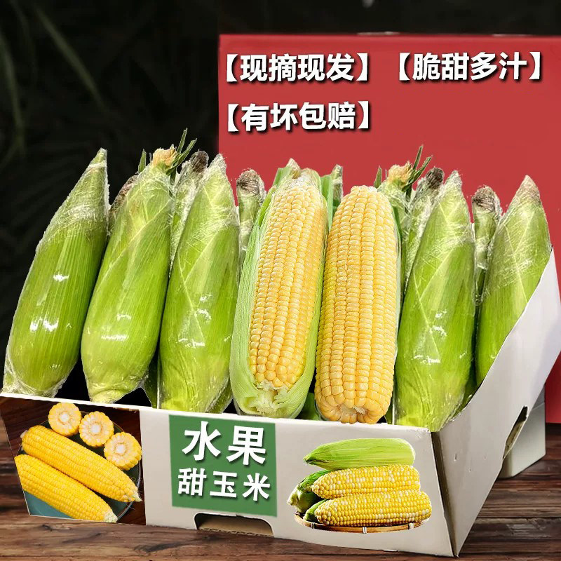 精选水果玉米3斤,脆甜多汁!