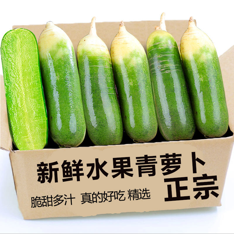 2025现挖萝卜水果萝卜甜脆水果型潍县沙窝青萝卜9斤新鲜生吃正宗1