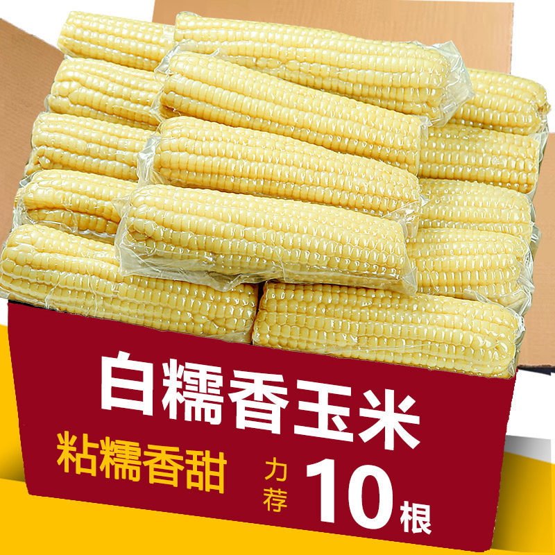 真空白糯玉米10支,粘糯香甜!