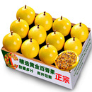 2025钦蜜9号黄金百香果力荐5斤大果新鲜水果当季 孕妇白香果甜整箱
