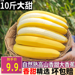 2023高山香蕉9斤新鲜当季水果整箱大芭蕉叶小米蕉甜香焦甜自然熟9