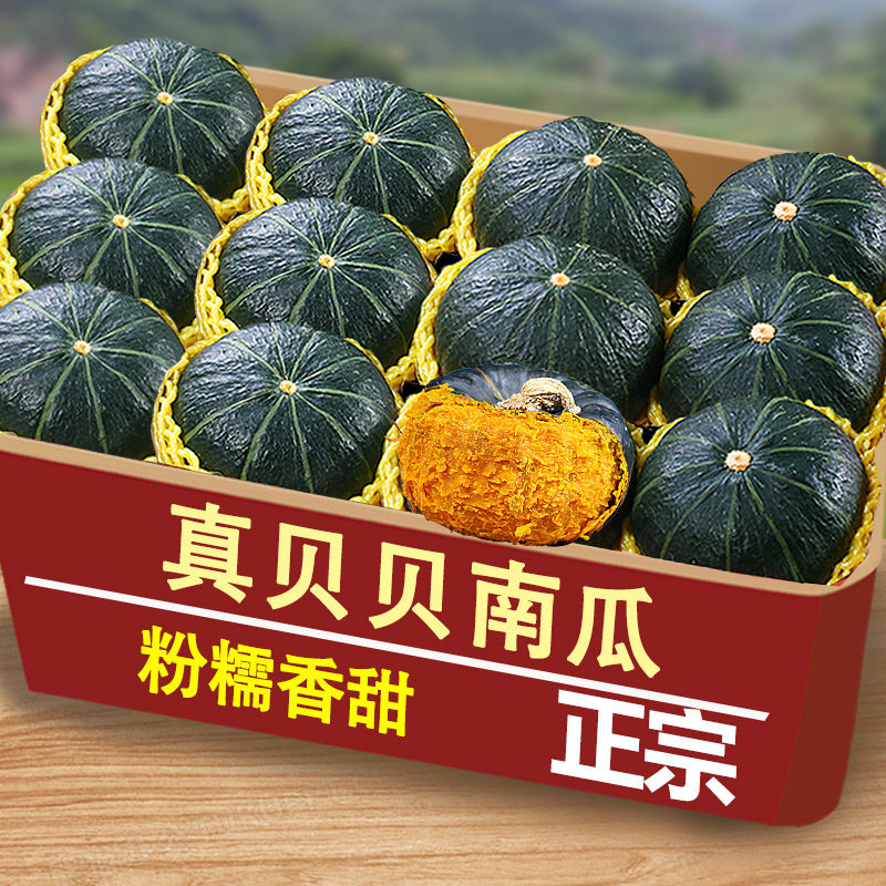 现摘现发贝贝南瓜板栗味正宗小南瓜新鲜5斤果蔬老瓜粉糯甜