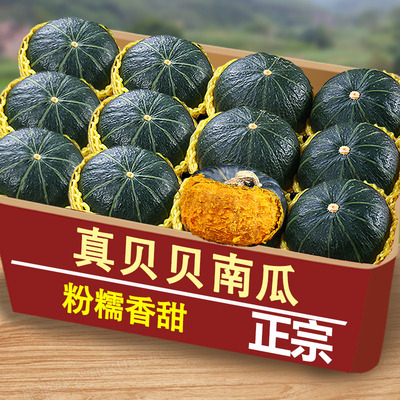 贝贝南瓜3斤（4-8个）,粉糯香甜