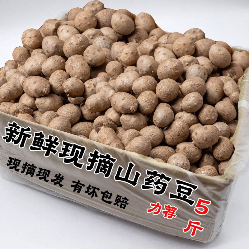 2026新鲜粉糯铁棍山药豆当季现摘农家铁杆小山药现摘蔬菜整箱包邮