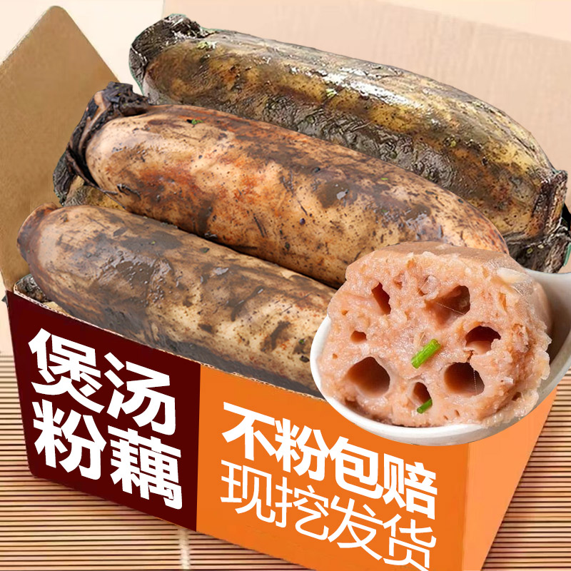 正宗煲汤粉藕新鲜现挖莲藕洪湖莲藕九孔藕湖北莲藕糯米藕带泥巴藕
