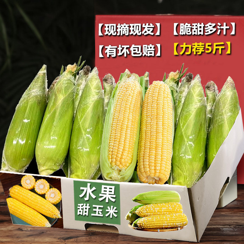 现摘水果玉米，脆甜多汁！