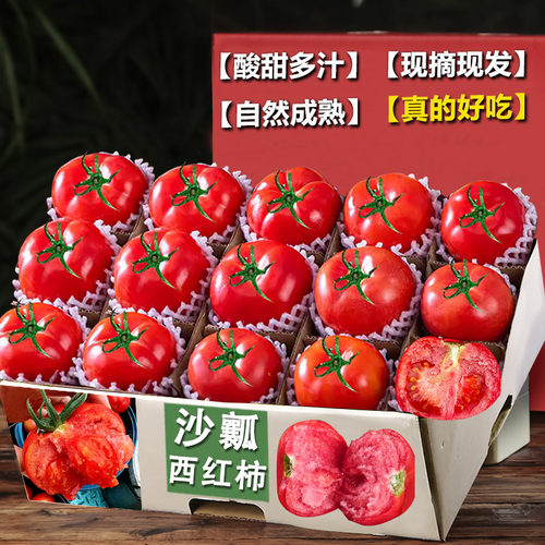 正在普罗旺斯西红柿，沙瓤多汁！