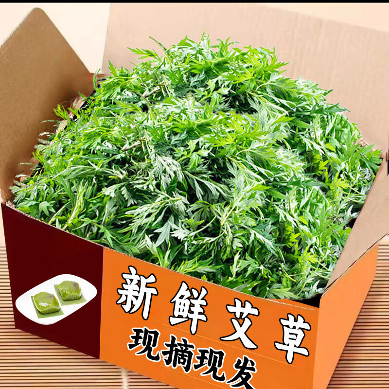 艾草新鲜食用蔬菜现摘发货清明草粑粑青团2斤艾叶新鲜艾草叶鲜嫩