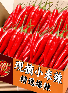 小米椒红辣椒新鲜蔬菜现摘特辣小米辣椒朝天椒农家土蔬菜鲜包邮
