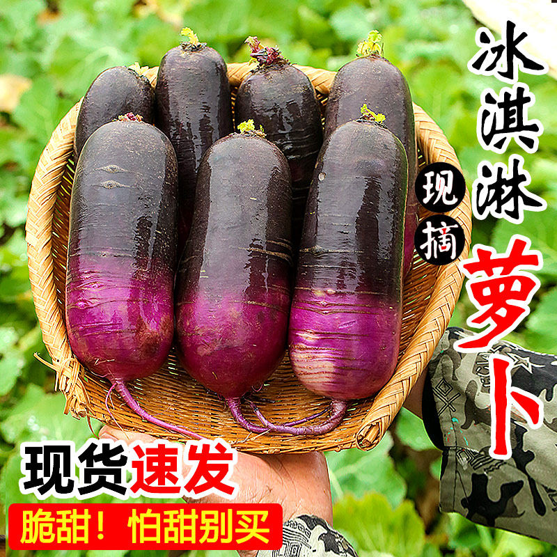 2025冰淇淋水果萝卜冰激凌红萝卜斤冰糖心甜脆水果型凤梨潍坊萝卜,水产肉类/新鲜蔬果/熟食,萝卜/胡萝卜,淘宝优惠券,粉丝福利购,淘宝优惠卷