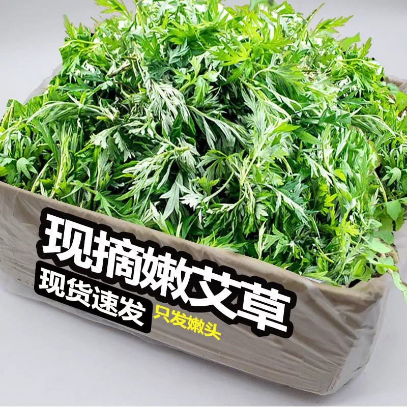 新鲜艾草现摘5斤当季食用青团野菜生叶艾蒿整箱清明草糍粑嫩包邮
