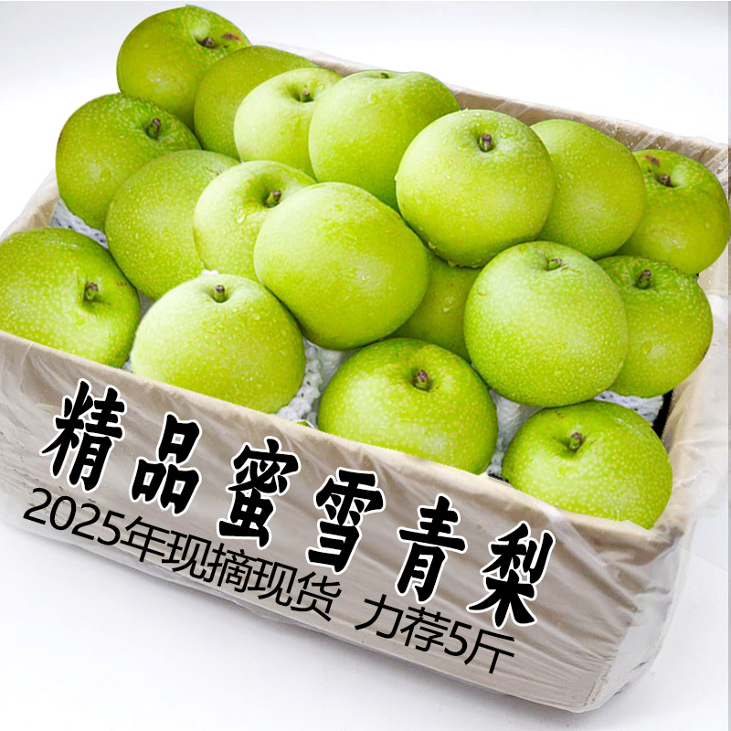ڲ1 Գװ 2025»ѩ¹׷7.7Ԫ