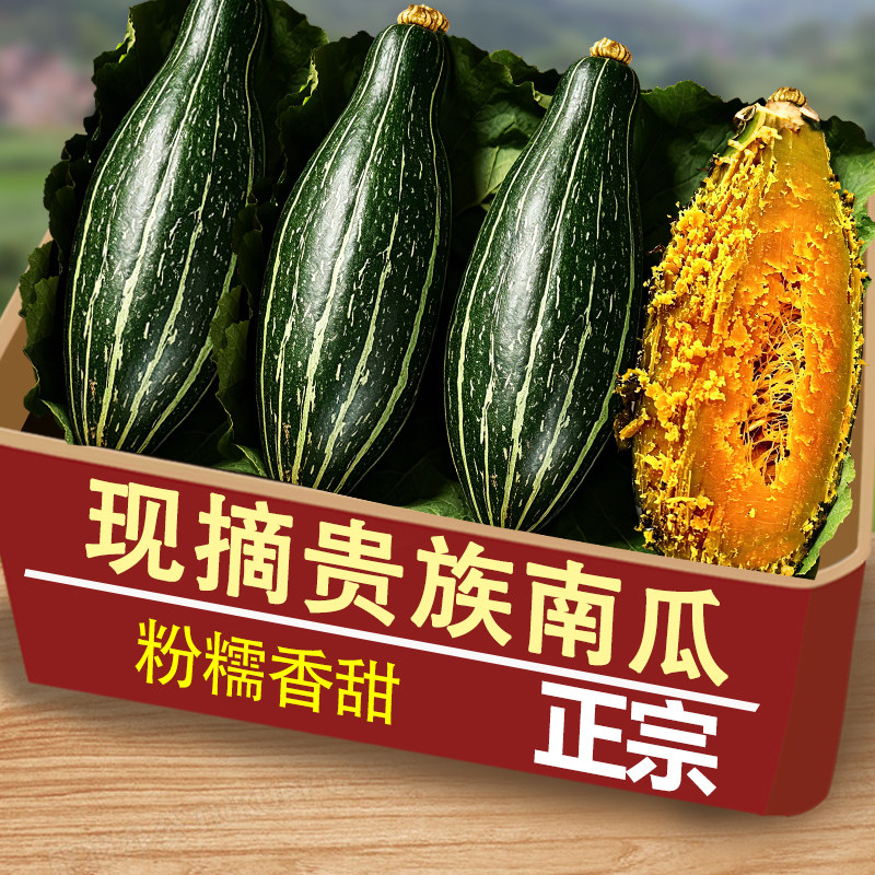 黑色贵族南瓜正宗山东产地直发老南瓜贝贝瓜香甜粉糯蔬菜整箱包邮