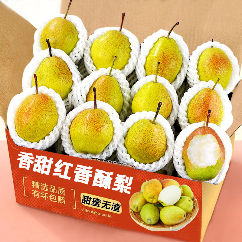 红香酥梨水果新鲜当季香梨脆甜多汁9斤应季山西梨子批整箱包邮
