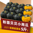 贝贝南瓜正宗板栗味贝贝板栗小南瓜老南瓜甜婴儿辅食嫩金 2025正品
