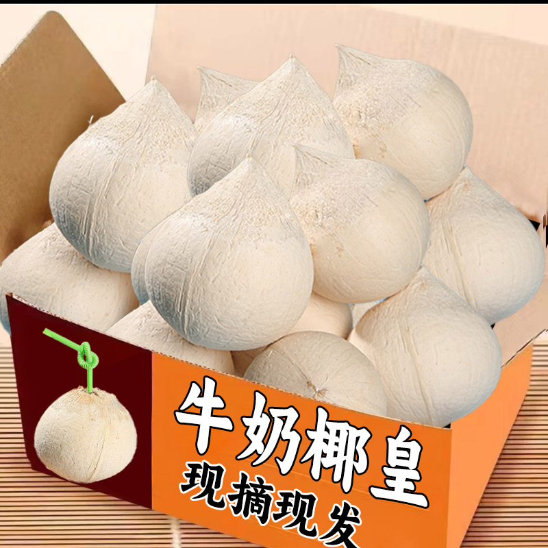 新上市海南牛奶椰皇6个装新鲜椰青椰白孕妇水果老椰子整箱包邮AA