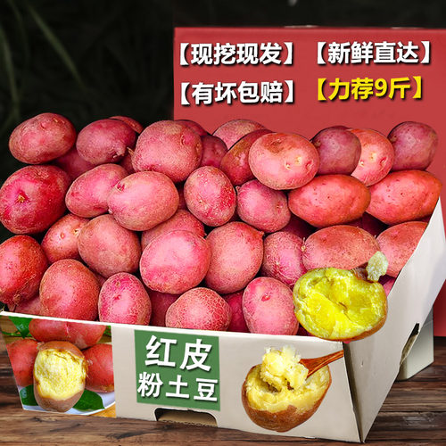 红皮小土豆5斤，粉糯香甜！