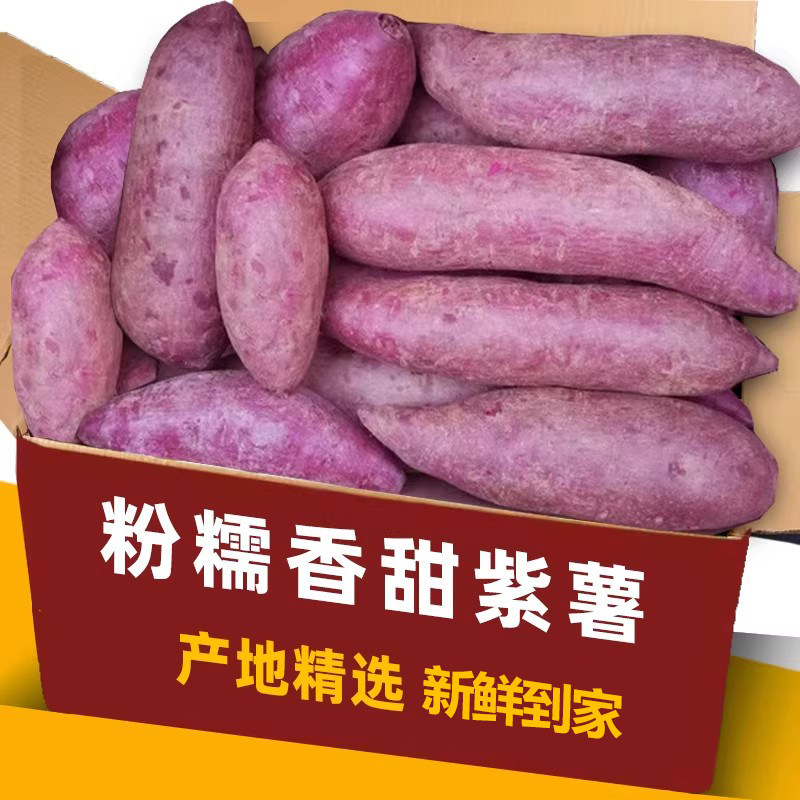 现挖紫薯新鲜番薯地瓜农家蜜薯板栗红沙地薯糖心山芋蔬菜包邮