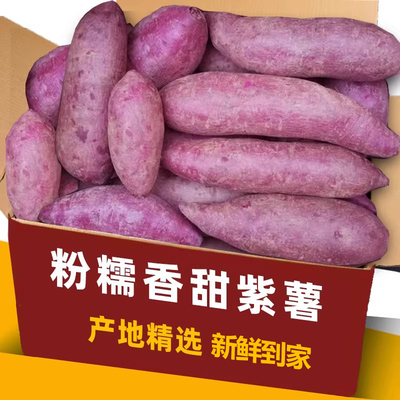 现挖紫薯新鲜番薯地瓜农家蜜薯板栗红沙地薯糖心山芋蔬菜包邮