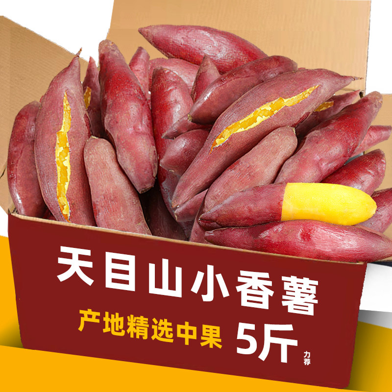 2023现挖小香薯临安新鲜白心板栗红薯沙地沃容5斤山芋蜜薯紫薯当9