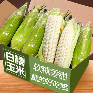 广西白糯玉米9斤新鲜现摘香甜嫩带皮苞谷玉米大棒子新鲜现摘现发