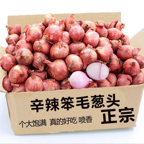 新鲜毛葱新鲜笨毛葱红葱头农家毛葱批发蔬菜洋葱农家种植生吃葱头