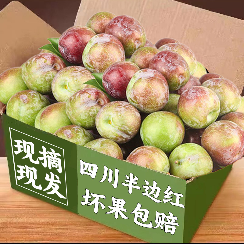 四川半边红脆李子新鲜水果现摘脱骨脆甜李子茵红孕妇整箱5斤包邮