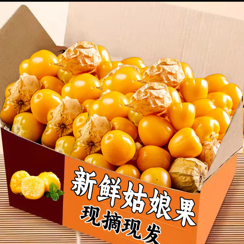 2025東北姑娘果特產(chǎn)水果新鮮當(dāng)季整箱燈籠果黃菇娘洋姑娘果甜菇?jīng)?>
                                </a>
                            </div>
                        </div>
                        <!-- Add Pagination -->
                        <div   id=
