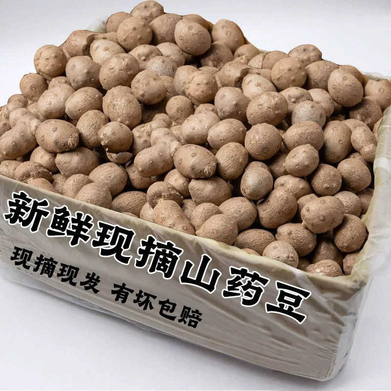 新鲜粉糯铁棍山药豆当季现摘农家铁杆小山药现摘蔬菜整箱包邮到家