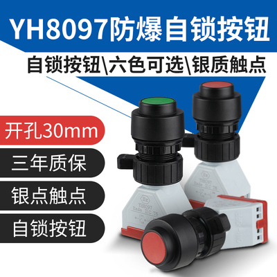 YH8097防爆自锁按钮开关防水防腐隔爆防暴控制箱开孔30mm停止启动
