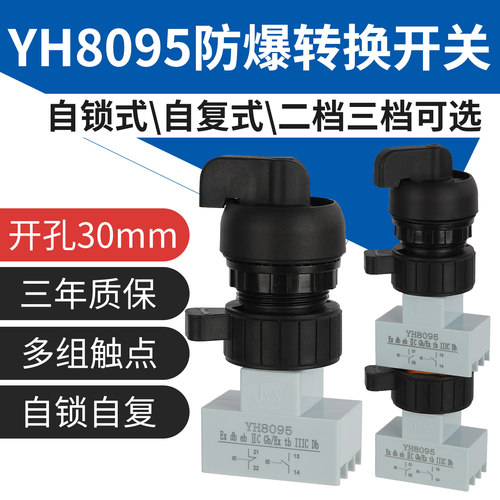 YH8095防爆转换开关自锁型自复式