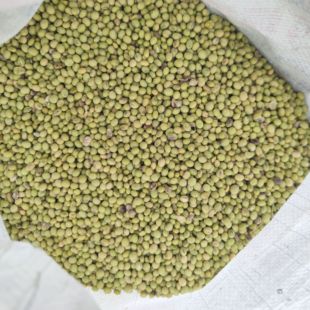 安徽舒城农家小黄豆老品种黄豆小绿豆
