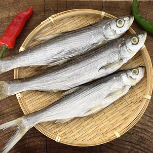 淡水翘嘴鱼干去内脏大白条刁子鱼干黄餐条红尾小鱼干农家腌制咸鱼