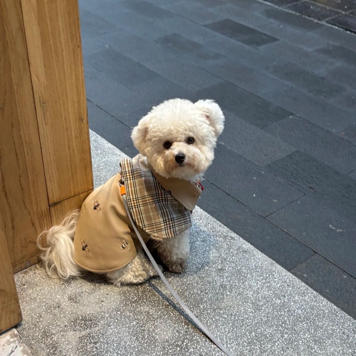宠物衣服四季复古侦探斗篷英伦领狗宠物服装/雨衣