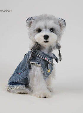 宠物衣服可牵引牛仔马甲两腿衣狗狗服装秋冬雪纳瑞比熊小型犬背心