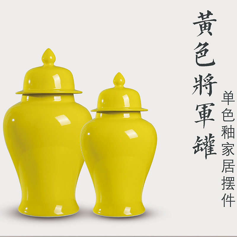 现代中式家居摆件将军罐陶瓷花瓶器客厅家居玄关装饰柜干插花大号,家居饰品,花瓶,淘宝优惠券,粉丝福利购,淘宝优惠卷